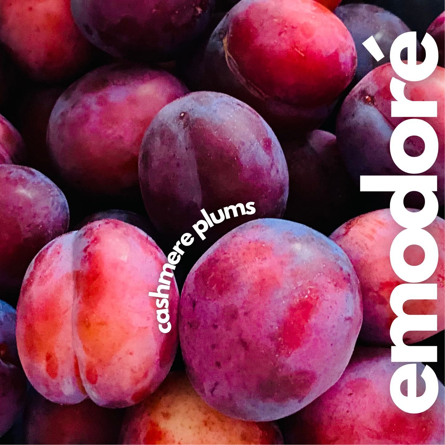 Cashmere Plums Wax Melts