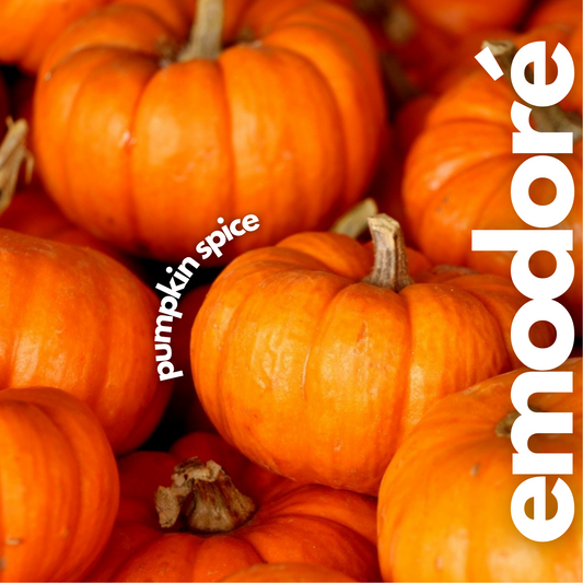 Pumpkin Spiced Latte Wax Melts